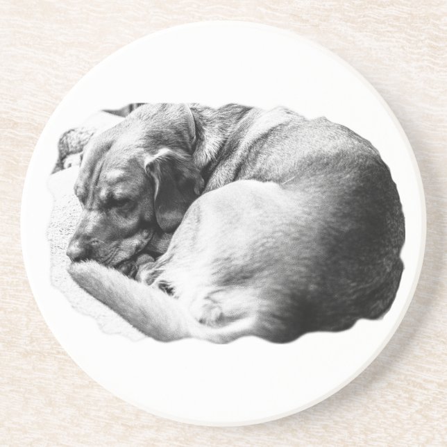 Cosy Curl Coaster (Front)