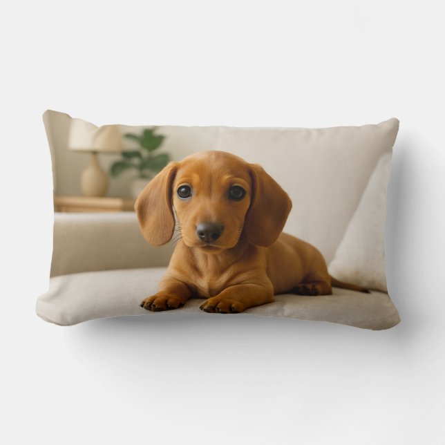 Cosy Dachshund  Lumbar Cushion (Front)