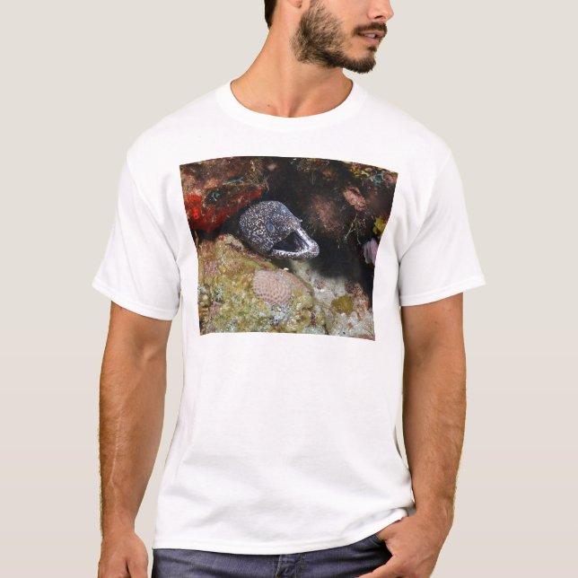 Cosy Eel T-Shirt (Front)