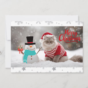 Cosy Exotic Shorthair Cat Christmas Personalised