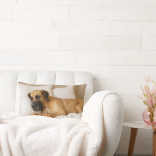 Cosy Great Dane Lumbar Pillow