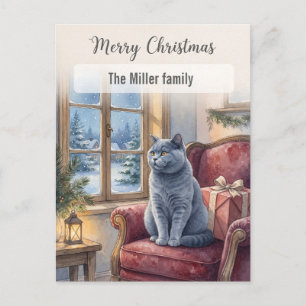 Cosy Grey Cat Winter Window Custom Christmas Holiday Postcard