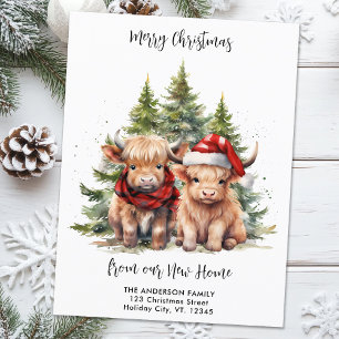 Cosy Highland Cow New Address Christmas Moving Holiday Postcard