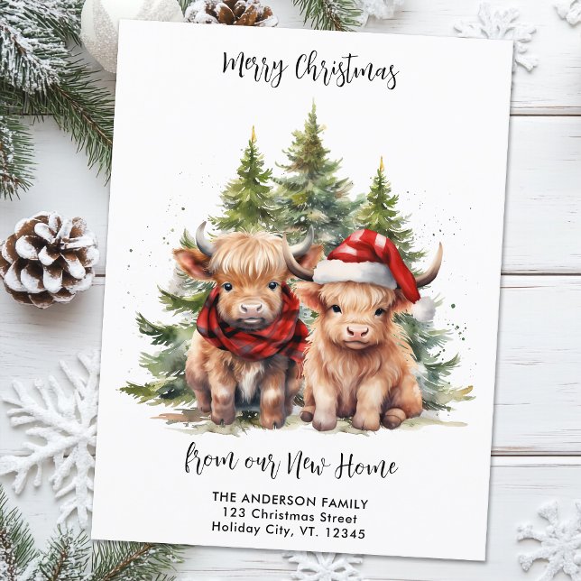 Cosy Highland Cow New Address Christmas Moving Holiday Postcard (Creator Uploaded)