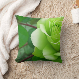 Cosy Home Decor Pillow with Floral Wreath Design