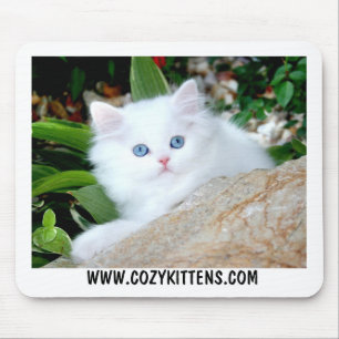 Cosy Kittens Heaven On Earth Mouse Pad