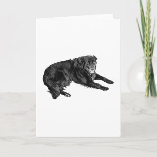 Cosy Messages with Thoughtful Eyes Card