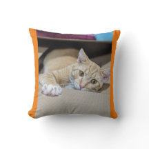 "Cosy Orange Tabby Cat Pillow – Warm Feline Charm 