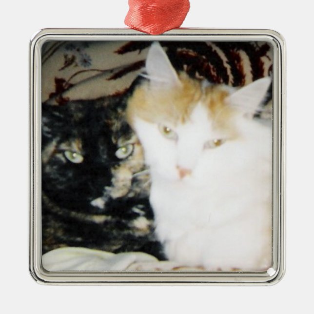 Cosy Photo of Two Cats Posed Cheek to Cheek Metal Ornament (Front)