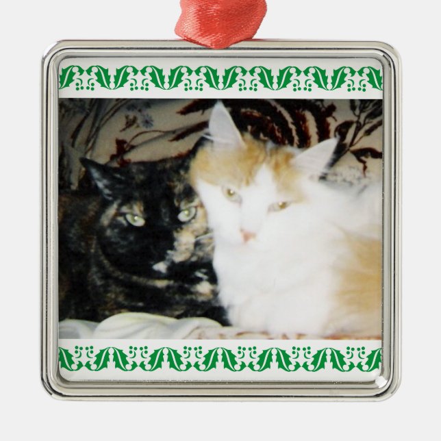 Cosy Photo Two Cats Green Holly Border Metal Ornament (Front)