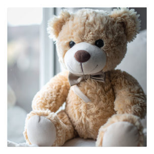 Cosy Sitting Teddy Bear Photo Print