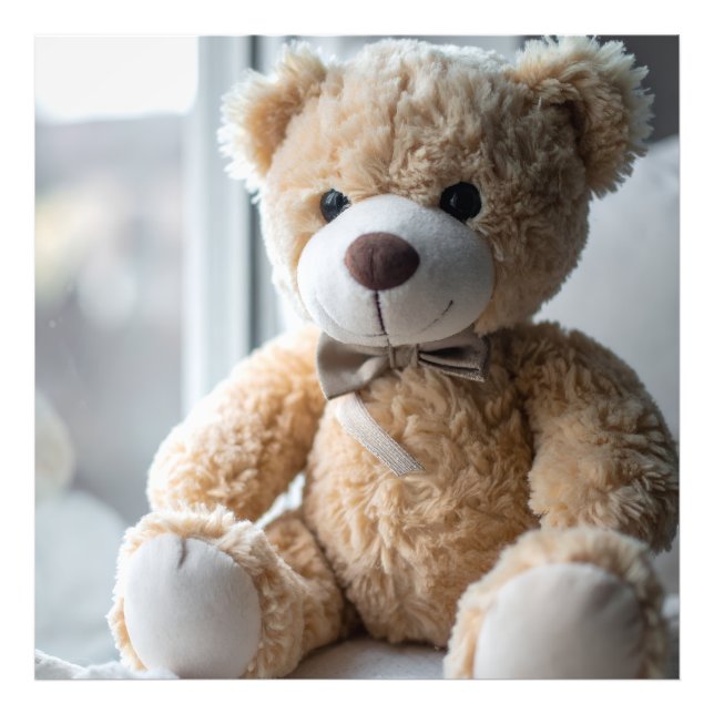 Cosy Sitting Teddy Bear Photo Print (Front)