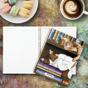 Cosy Sleeping Cats Bookshelf Illustration Cute Planner