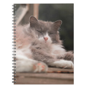 Cosy Sleeping Fluffy Cat Notebook