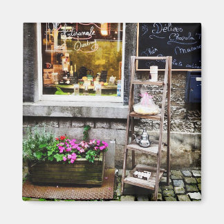 Cosy street of Belgium Magnet