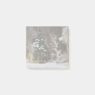 Cosy Winter Forest Night Scene Post-it Notes