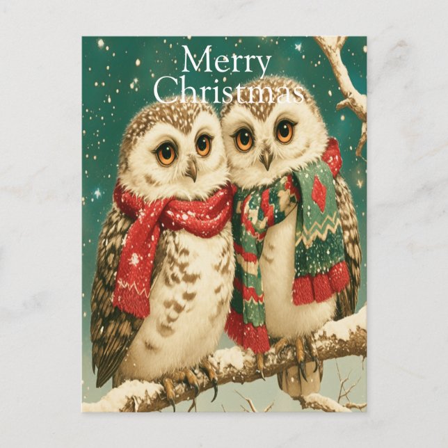 Cosy Winter Owls with Scarves Holiday Postcard (Front)