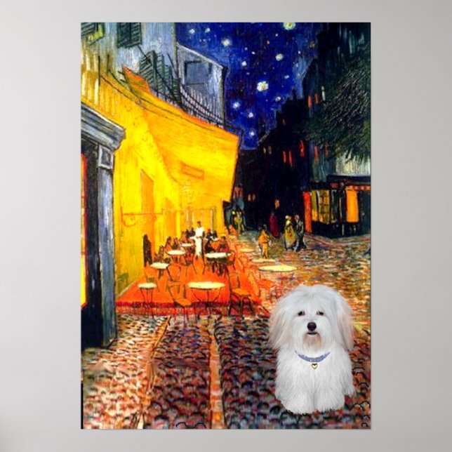 Coton de Tulear 4b  - Cafe Poster (Front)