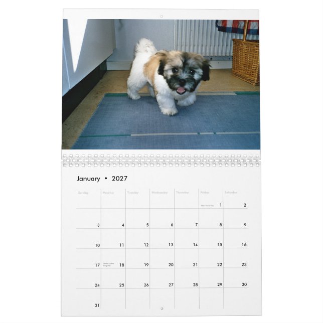 coton de tulear Calendar (Jan 2027)