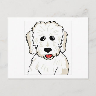 Coton de Tulear Caricature Postcard