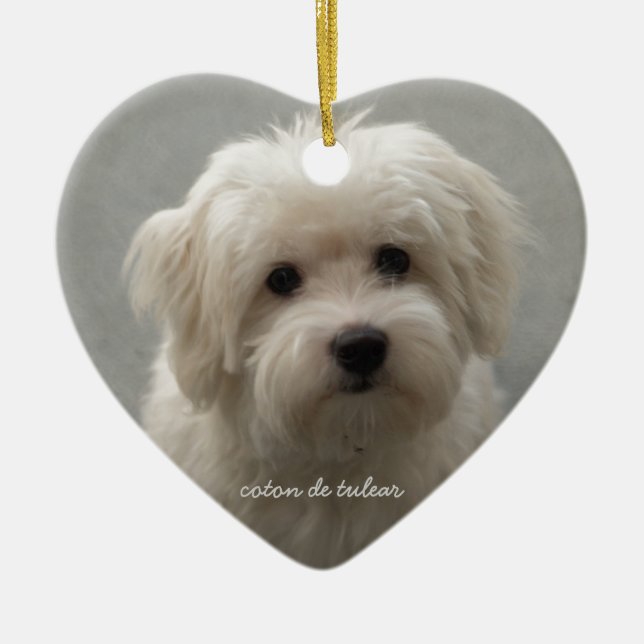 Coton de Tulear Ceramic Ornament (Front)