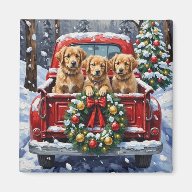 Coton de Tulear Christmas Red Truck Holiday Magnet (Front)