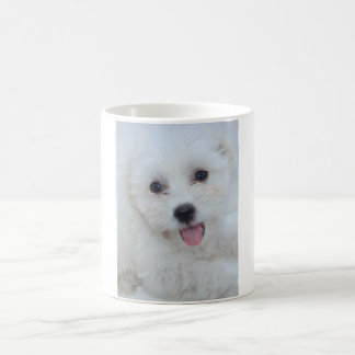 Coton De Tulear Coffee Cup