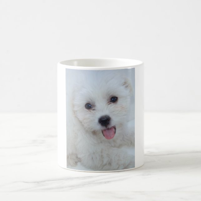 Coton De Tulear Coffee Cup (Center)