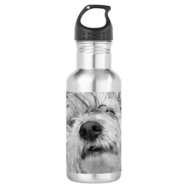 Coton de Tulear dog 532 Ml Water Bottle (Front)