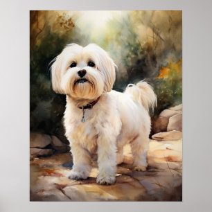 Coton De Tulear Dog Art Print Poster