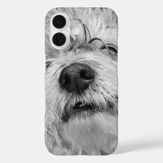 Coton de Tulear dog Case-Mate iPhone Case (Back)