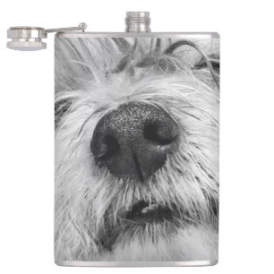 Coton de Tulear dog Hip Flask
