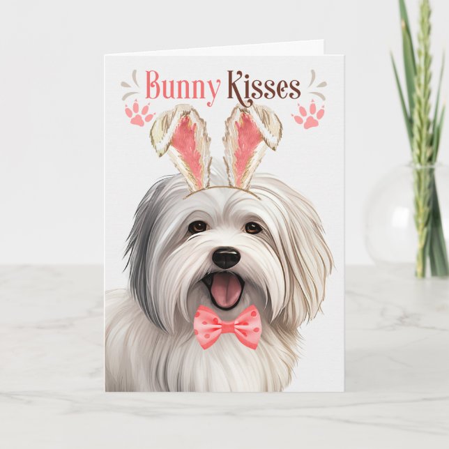 Coton de Tulear Dog in Bunny Ears for Easter Holiday Card (Front)