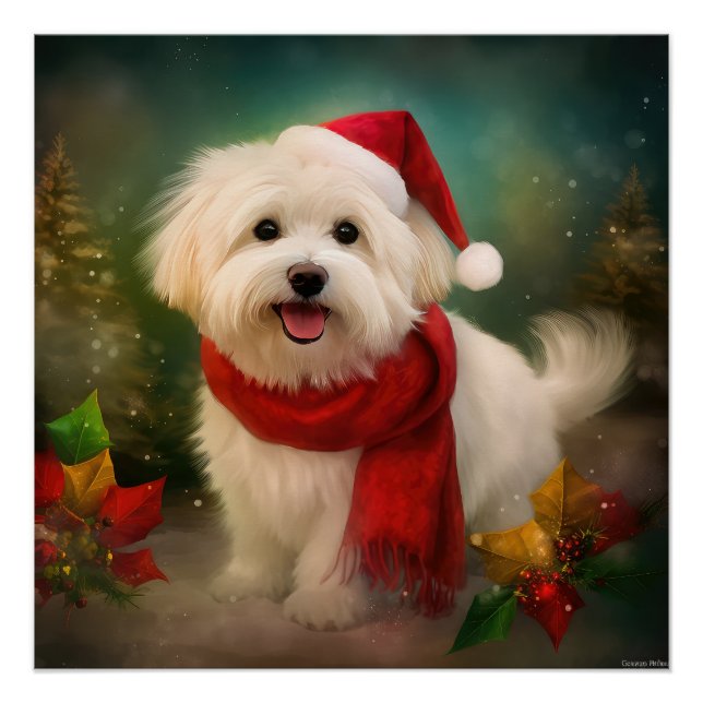 Coton De Tulear Dog in Snow Christmas Poster (Front)