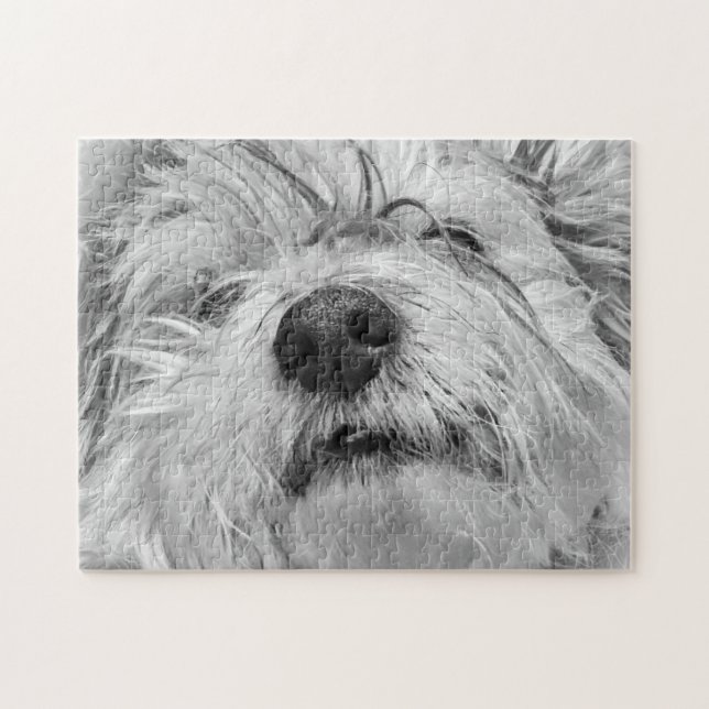 Coton de Tulear dog Jigsaw Puzzle (Horizontal)