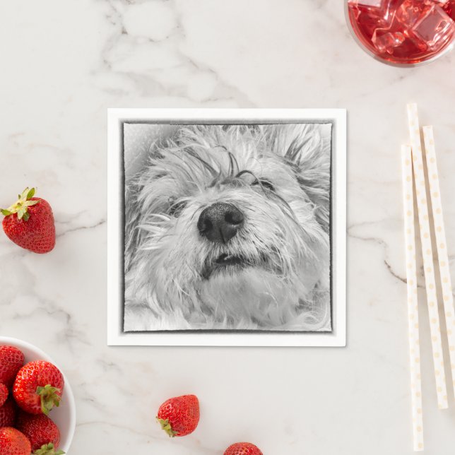 Coton de Tulear dog Napkin (Insitu)