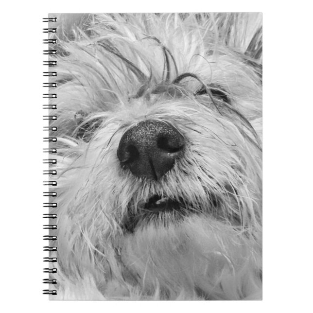 Coton de Tulear dog Notebook (Front)