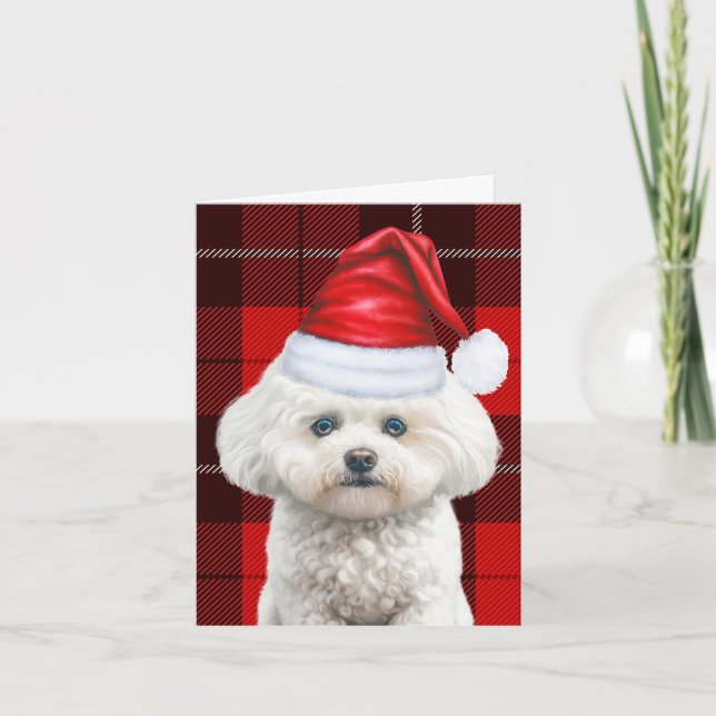 Coton de Tulear Dog Red Holiday Plaid Christmas (Front)