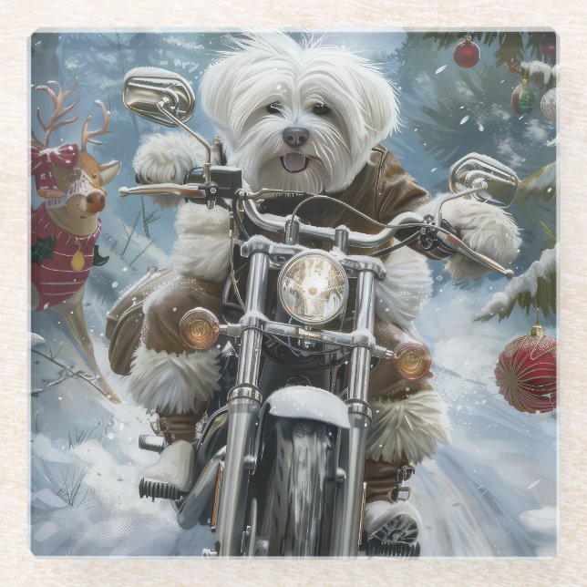 Coton De Tulear Dog Riding Motorcycle Christmas  Glass Coaster (Front)