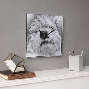 Coton de Tulear dog Square Wall Clock