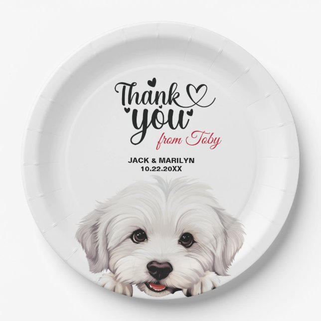Coton De Tulear Dog Wedding Reception Paper Plate (Front)