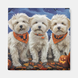 Coton De Tulear Halloween Spooky Magnet