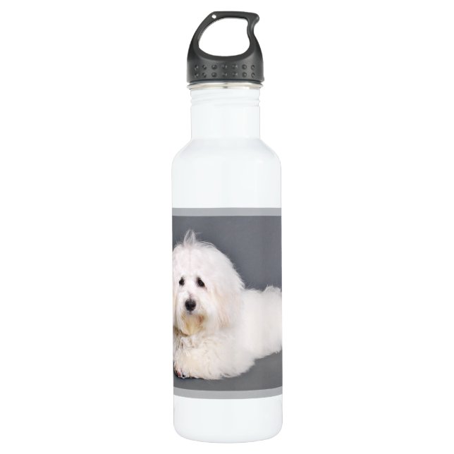Coton de Tulear - Joci 710 Ml Water Bottle (Front)