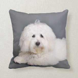 Coton de Tulear - Joci Cushion
