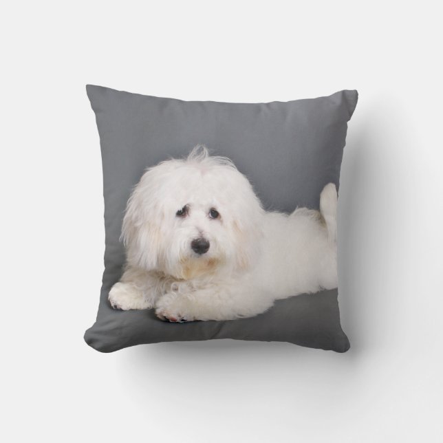 Coton de Tulear - Joci Cushion (Front)