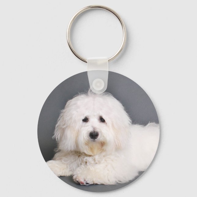 Coton de Tulear - Joci Key Ring (Front)