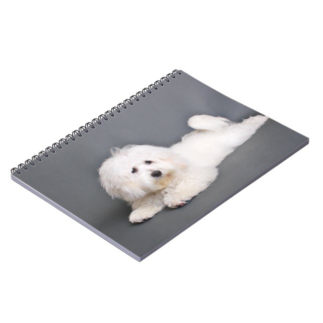 Coton de Tulear - Joci Notebook (Left Side)