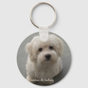 Coton de Tulear Key Ring
