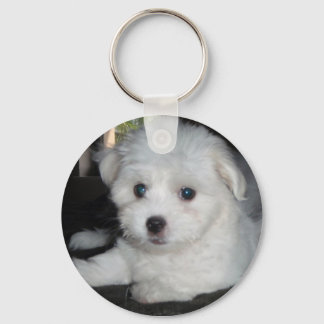 Coton De Tulear Key Ring
