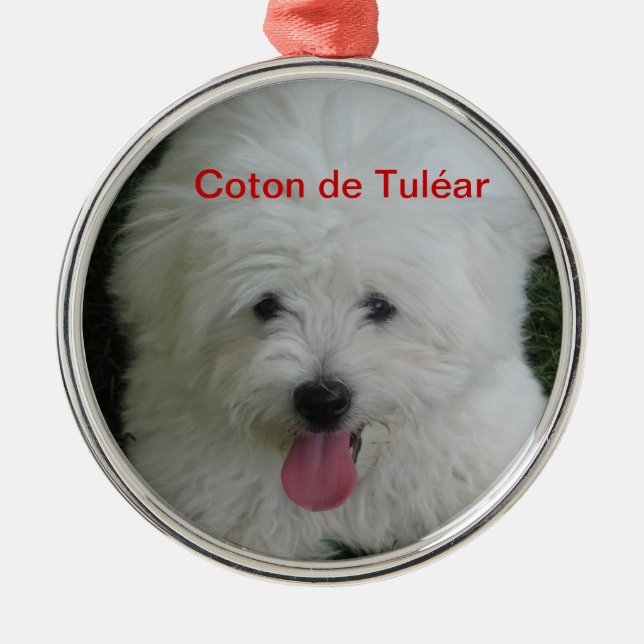 Coton de Tulear ornament (Front)